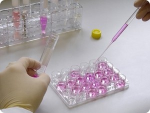Imagem da notícia: Prémios para investigação biomédica inovadora