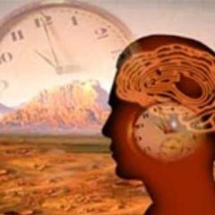 Imagem da notícia: “Tempo biológico” mais fácil de determinar