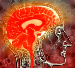 Imagem da notícia: “O cérebro tem sexo”