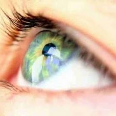 Imagem da notícia: Lentes inovadoras corrigem miopia sem recorrer a cirurgia