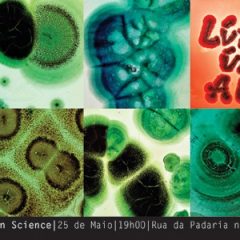 Imagem da notícia: Investigadora cria arte a partir da ci&ecirc;ncia