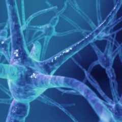Imagem da notícia: Terapia experimental mostra-se promissora no tratamento de esclerose m&uacute;ltipla