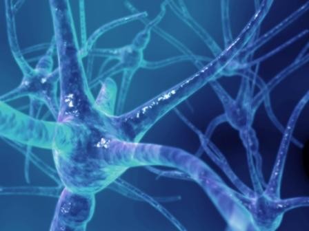 Imagem da notícia: Terapia experimental mostra-se promissora no tratamento de esclerose múltipla