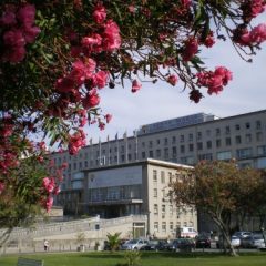Imagem da notícia: Especialidades médicas concentradas em hospitais de Lisboa