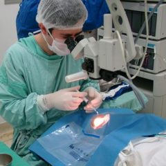 Imagem da notícia: Longas listas de espera obrigam hospitais de Coimbra a cirurgias ao sábado