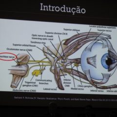 Imagem da notícia: Do Porto, um evento de sucesso