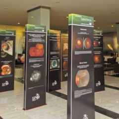 Imagem da notícia: Um congresso vers&aacute;til