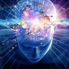 Imagem da notícia: VISUM Summer School no Porto