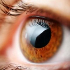 Imagem da notícia: Índia desenvolve método inovador para detetar glaucoma