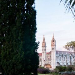 Imagem da notícia: A doen&ccedil;a ocular diab&eacute;tica em destaque