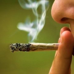 Imagem da notícia: Fumar marijuana não ajuda a tratar glaucoma, segundo estudo