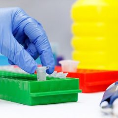 Imagem da notícia: Parceria com vista no futuro da genética