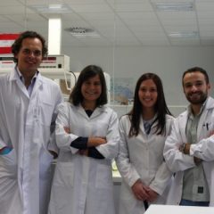 Imagem da notícia: Descoberta origem das células estaminais sanguíneas