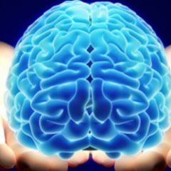 Imagem da notícia: Fórum BIAL de Neurologia reúne peritos internacionais em Lisboa