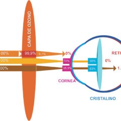 Imagem da notícia: Tratamento CNC UV: faça chuva ou faça sol!