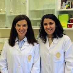 Imagem da notícia: Café protege células da retina?