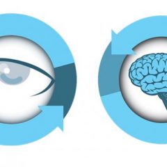 Imagem da notícia: Existe relação entre o glaucoma e a doença de alzheimer?