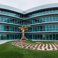 Imagem da notícia: Johnson & Johnson investe 5,5 milhões em Portugal