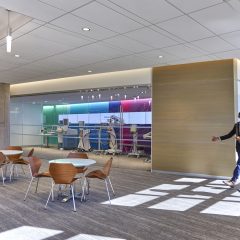 Imagem da notícia: Alcon Experience Academy reforça compromisso com profissionais da visão