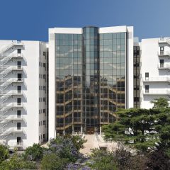 Imagem da notícia: Estão a chegar as ALM Fellow Talks