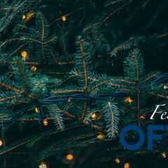 Imagem da notícia: Festas felizes!