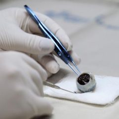 Imagem da notícia: Já conhece o EyeFind?