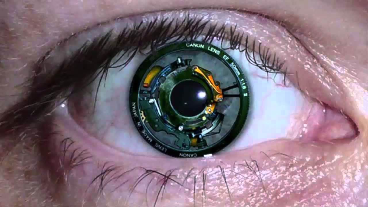 Imagem da notícia: Israel: retina artificial poderá devolver visão a cegos
