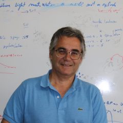 Imagem da notícia: Cientista da UC eleito presidente da IPA