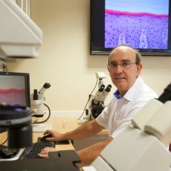 Imagem da notícia: BTI celebra 20 anos