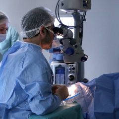 Imagem da notícia: Quer trabalhar no Algarve?