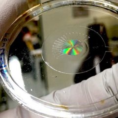 Imagem da notícia: Desenvolvida lente com funcionalidades do olho