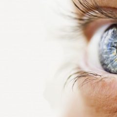 Imagem da notícia: Alcon e SPO unem esforços