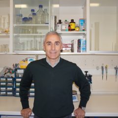 Imagem da notícia: Utilizar a retina como “espelho do cérebro” para diagnóstico do Alzheimer