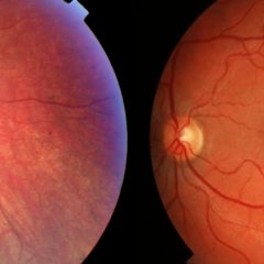 Imagem da notícia: 5ª Reunião do GER é já para a semana