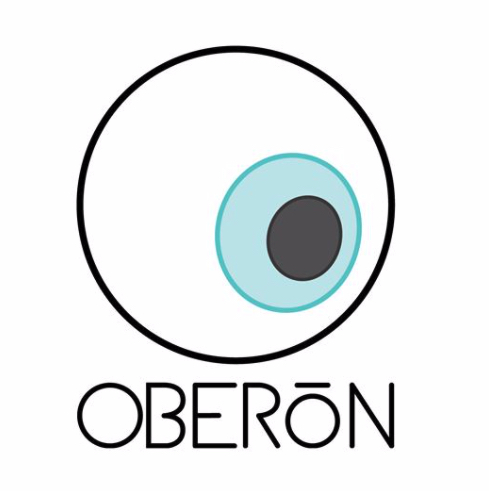 Imagem da notícia: UMinho coordena projeto europeu da Oberon