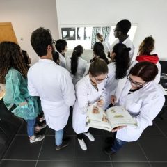 Imagem da notícia: Escola de Medicina da UMinho com novo currículo