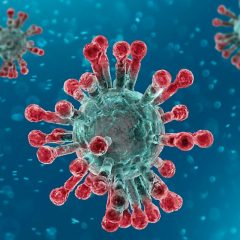 Imagem da notícia: Covid-19: consórcio liderado pela UC desenvolve testes rápidos e de baixo custo