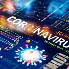 Imagem da notícia: Investigadores testam IA no diagnóstico da Covid-19