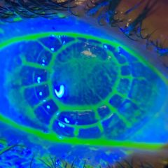 Imagem da notícia: APOR: Rodolfo Moura vence “desafio fotográfico” de junho