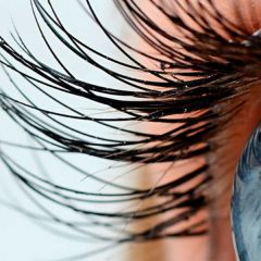 Imagem da notícia: “O Cantinho da Fotografia” com novo desafio fotográfico