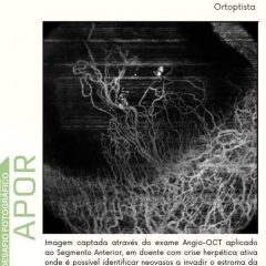 Imagem da notícia: APOR: Libânia Dias é a vencedora do “desafio fotográfico” de setembro