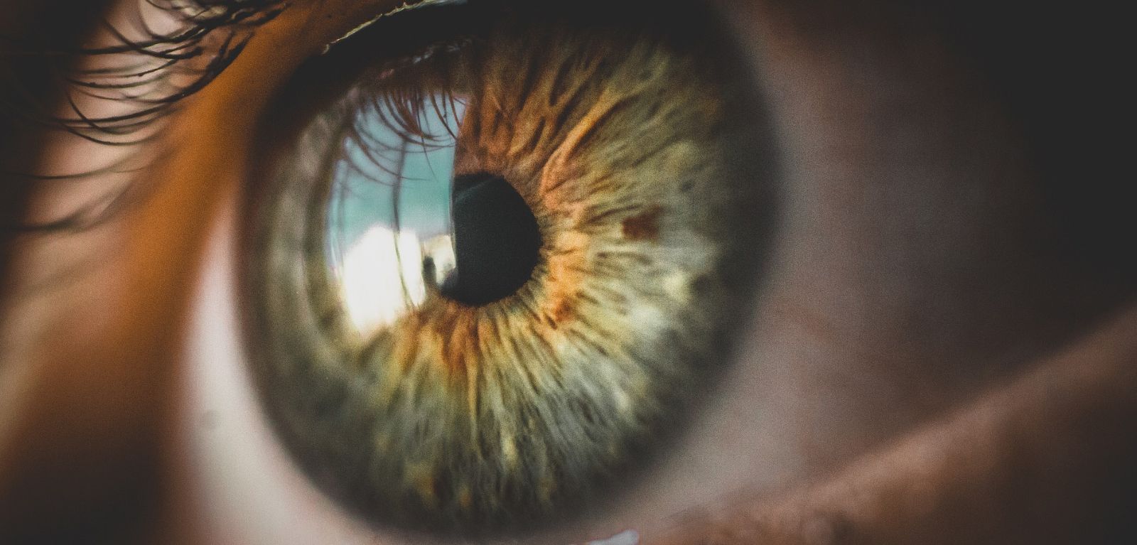 Imagem da notícia: Estudo mostra avanços na forma como a diabetes causa perda de visão