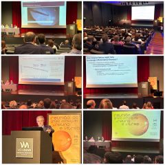 Imagem da notícia: Reunião do GPRV junta mais de duas centenas de oftalmologistas