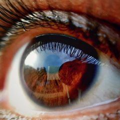 Imagem da notícia: Estudo: alterações nos vasos sanguíneos no olho indicam início de Alzheimer