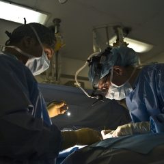 Imagem da notícia: SOT permite agendamento cirúrgico automático