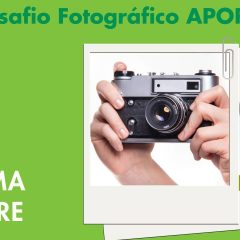 Imagem da notícia: Regressa o Desafio Fotográfico APOR – EssilorLuxottica