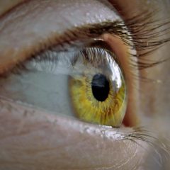 Imagem da notícia: Implante ocular devolve capacidade de leitura a pessoas cegas
