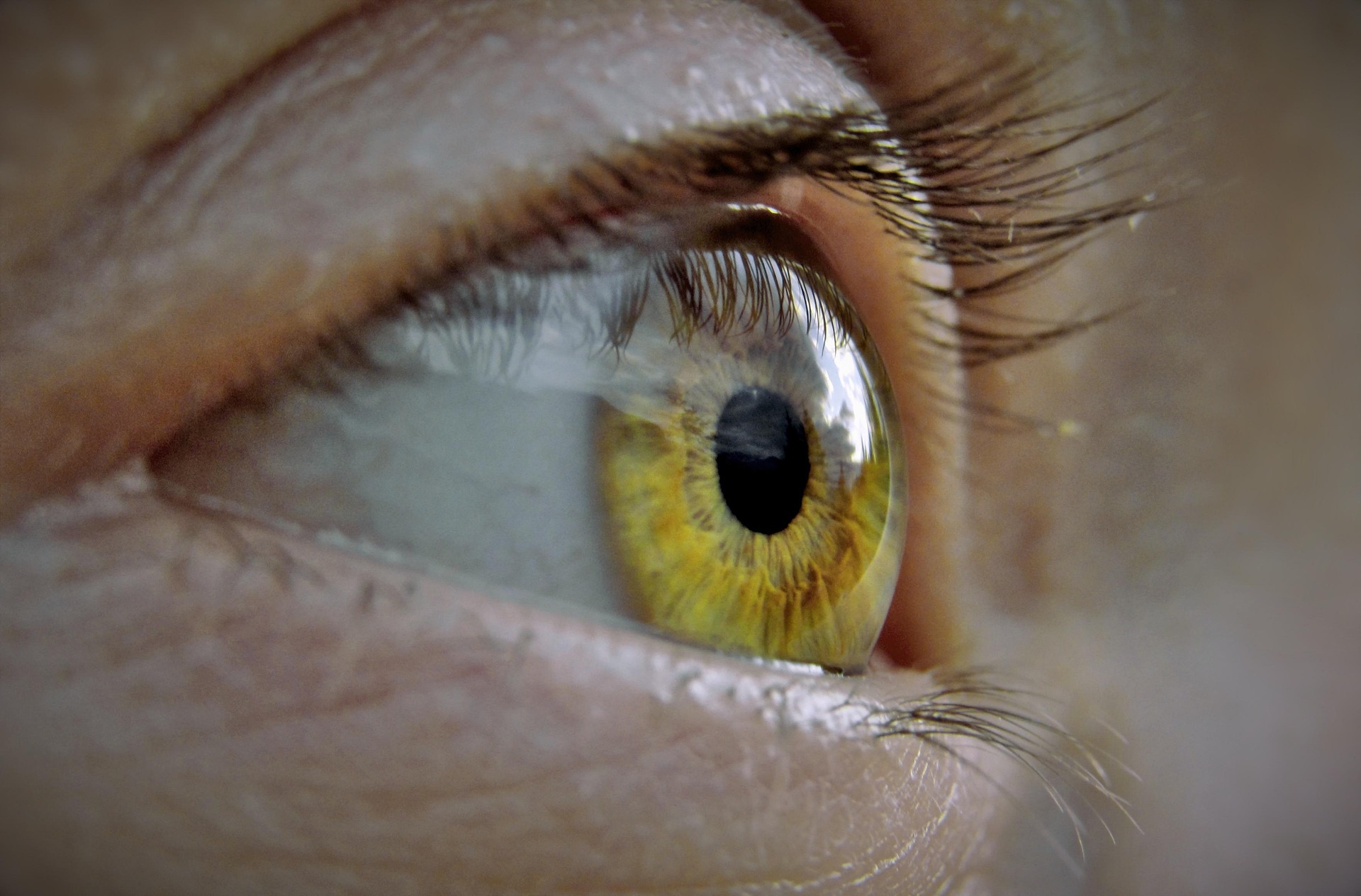 Imagem da notícia: Implante ocular devolve capacidade de leitura a pessoas cegas