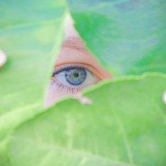 Imagem da notícia: Projeto EyeImpact avalia sustentabilidade na cirurgia da catarata