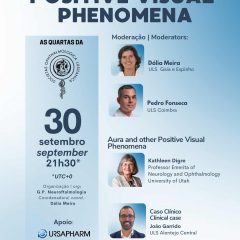 Imagem da notícia: “Positive Visual Phenomena” em discussão